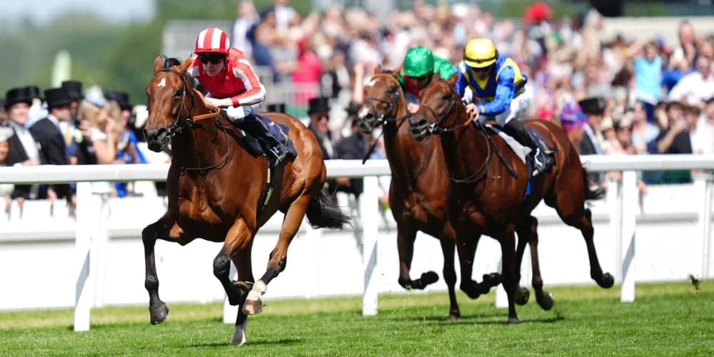 ‘He’s ready to go’ – Goliath taking on King George giants