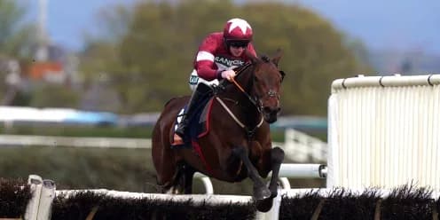 Brighterdaysahead Begins Season at Down Royal Hurdle