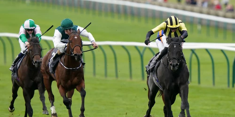 Disappointment for Crisfords with Vandeek out of Commonwealth Cup