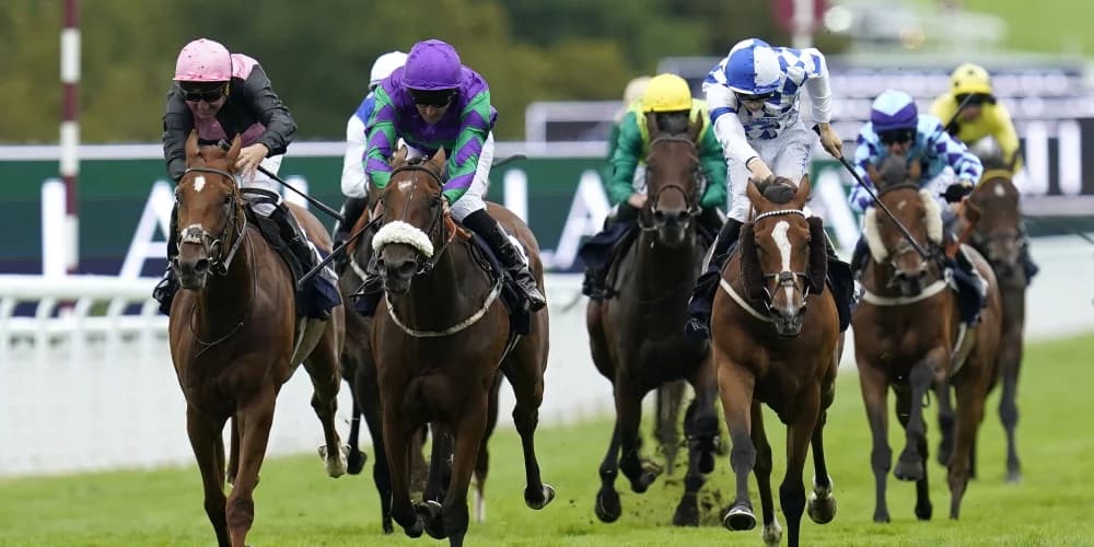 Novus Triumphs in Gritty Goodwood Showdown, Sets Sights on Newmarket Defense