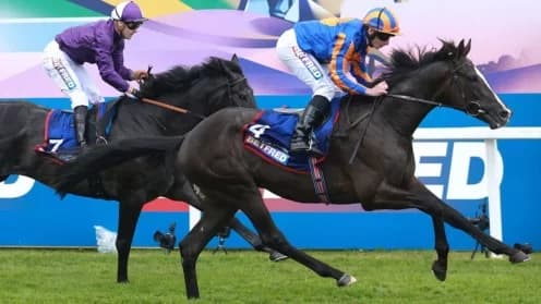 Auguste Rodin's Farewell: A Historic Japan Cup Encounter