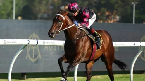 Our Kobison Set for Starlight Stakes Summer Campaign