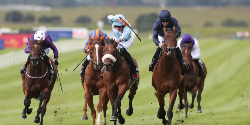 Henri Matisse denies The Strikin Viking victory in Railway Stakes