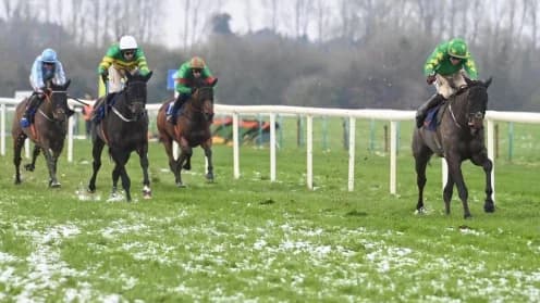 Only By Night Shines in Stellar Chase Debut at Tipperary