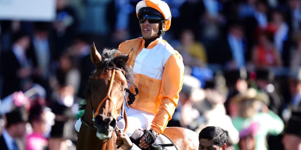 Jayarebe Set for Prix Dollar as Meehan Eyes Breeders' Cup Turf