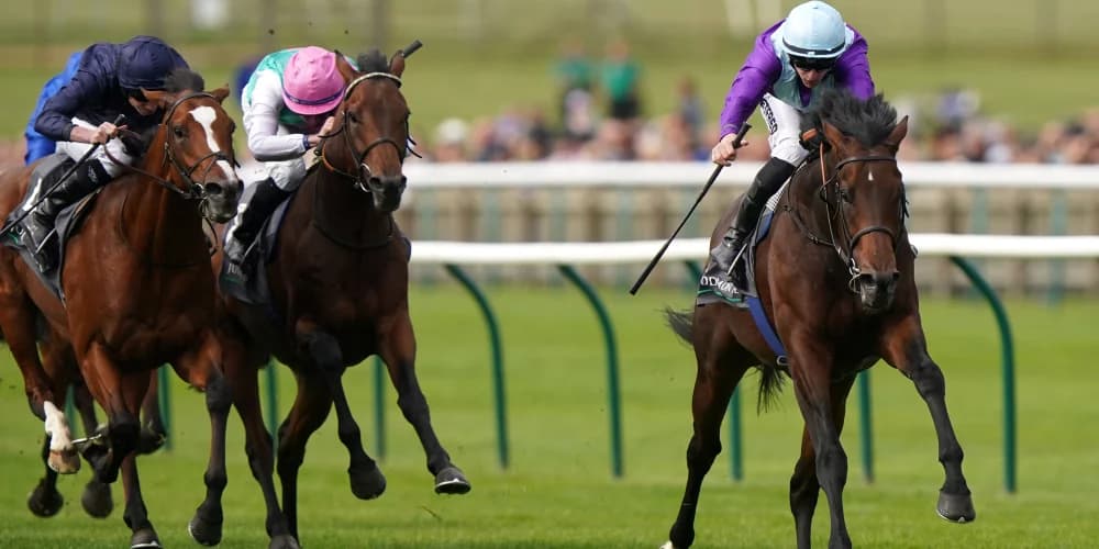 Cox Hopes for Dry Conditions Ahead of Ghostwriter’s International Challenge