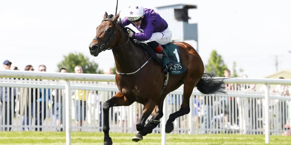 Bucanero Fuerte facing fitness race ahead of July Cup