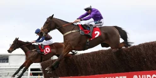 Fugitif Poised for Paddy Power Gold Cup Return