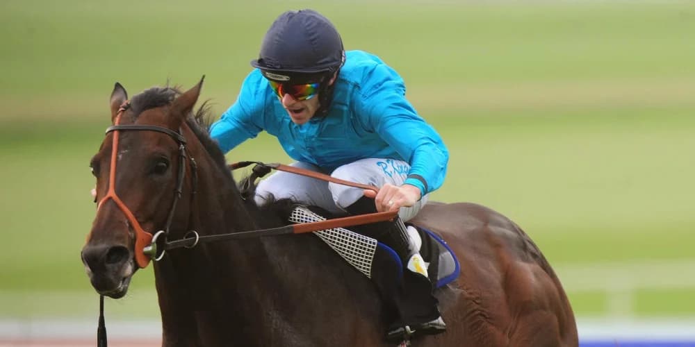 Brown Panther, the "superstar," will always be warmly remembered.