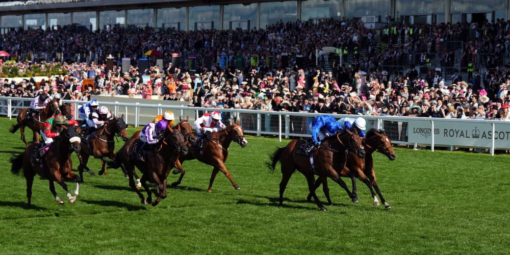 Wild Tiger roars for Saeed bin Suroor in Royal Hunt Cup