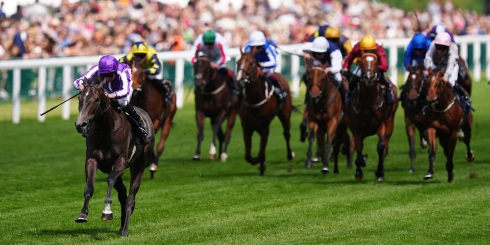 Bedtime Story produces spectacular performance in Chesham Stakes