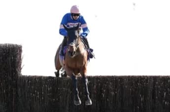 Rising Star Sean Bowen: A Journey in Horse Racing