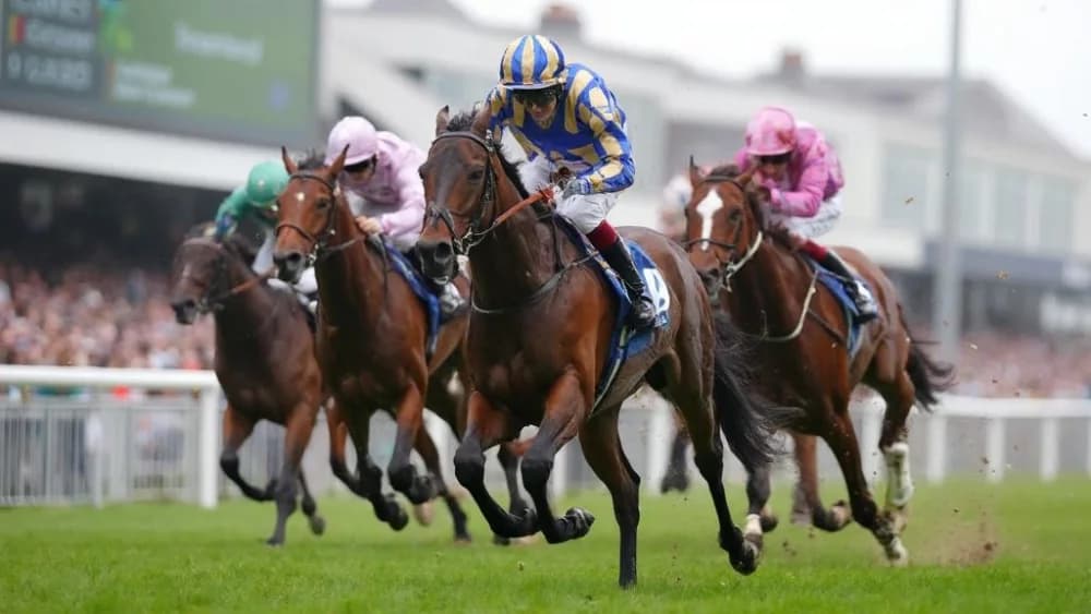 Big Evs Seeks Redemption in Coolmore Nunthorpe Stakes at York