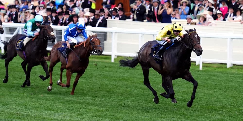 No July Cup, but big sprints will come into focus for Lake Forest