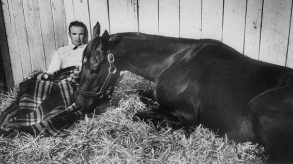 Swaps: The Legendary Thoroughbred Who Redefined Horse Racing Swaps: The Legendary Thoroughbred Who Redefined Horse Racing