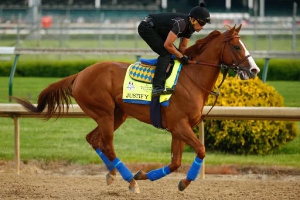 Justify: The Undefeated Triple Crown Legend Who Redefined Horse Racing Justify: The Undefeated Triple Crown Legend Who Redefined Horse Racing