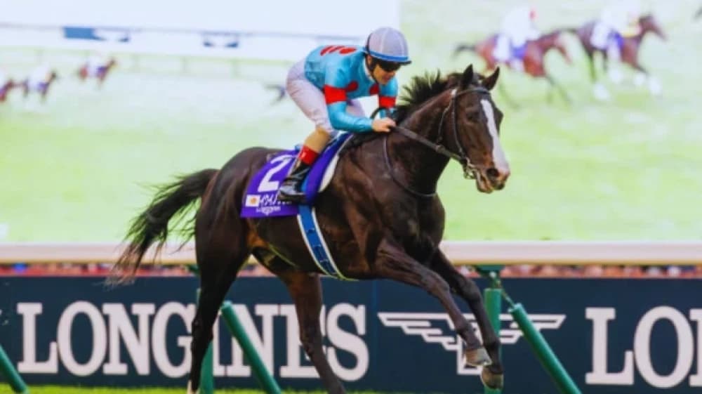 Equinox: The Unstoppable Force of Modern Horse Racing Equinox: The Unstoppable Force of Modern Horse Racing