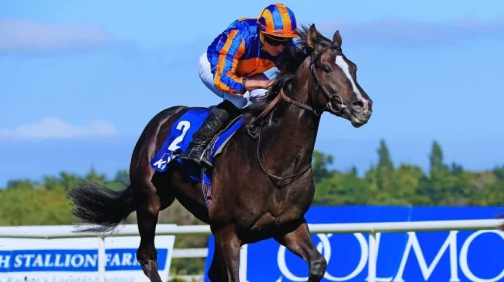 Auguste Rodin: A Masterpiece on the Turf Auguste Rodin: A Masterpiece on the Turf