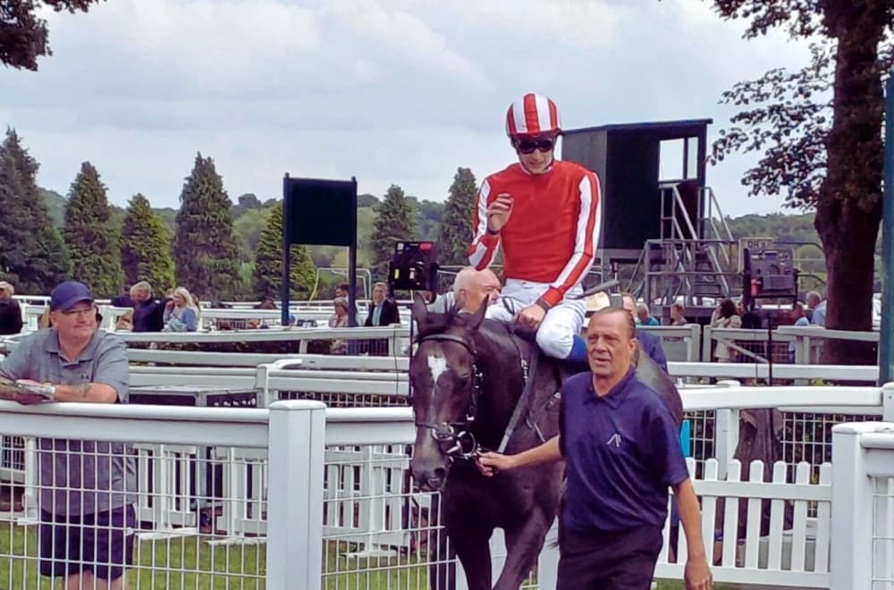 Soldier's Heart Triumphs in Ripon Champion Two-Year-Old Stakes Soldier's Heart Triumphs in Ripon Champion Two-Year-Old Stakes