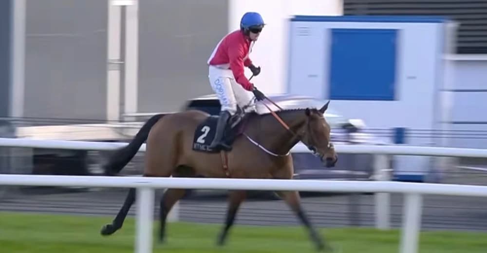 Envoi Allen Set For Bold Final Bid In Cheltenham Gold Cup