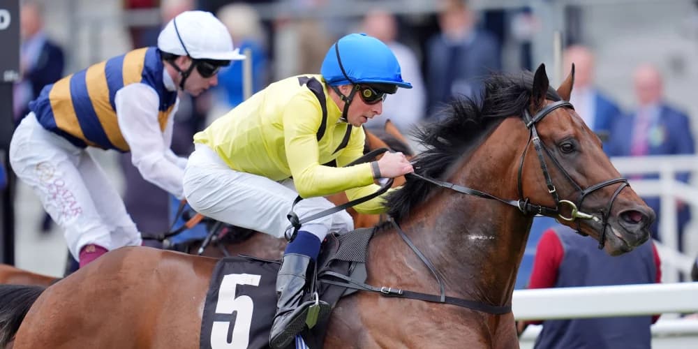 ParisLongchamp marked out as plan for Quddwah ParisLongchamp marked out as plan for Quddwah