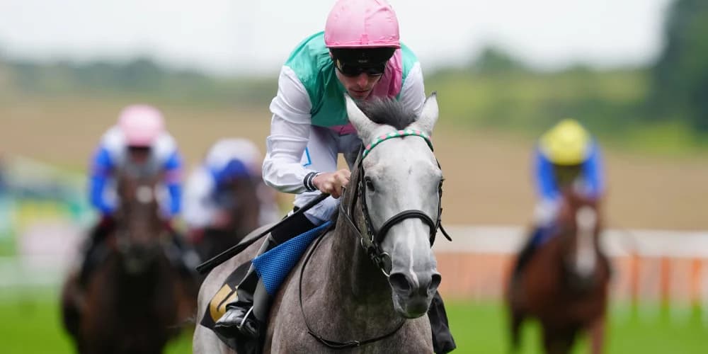 Solario Gold in Juddmonte’s sights at Sandown Solario Gold in Juddmonte’s sights at Sandown