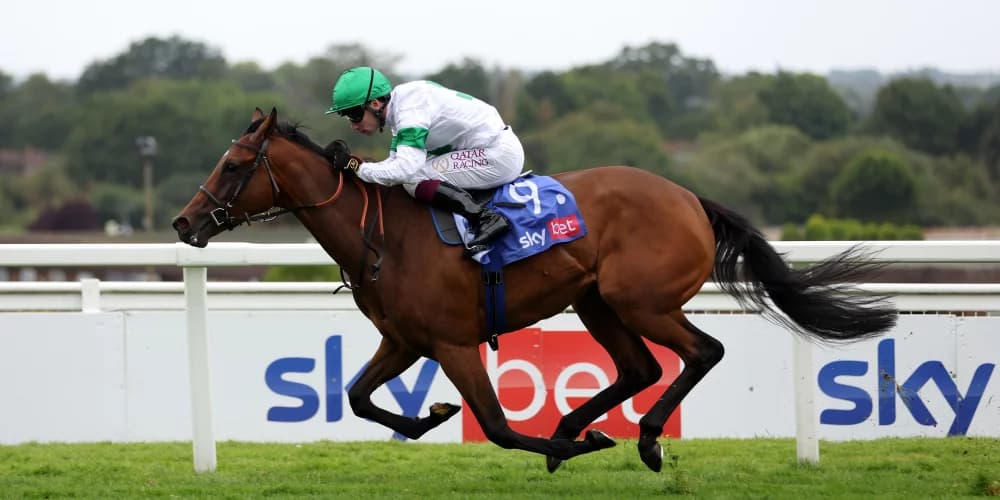 For Tamfana, Menuisier has in mind a Group One mile double. For Tamfana, Menuisier has in mind a Group One mile double.