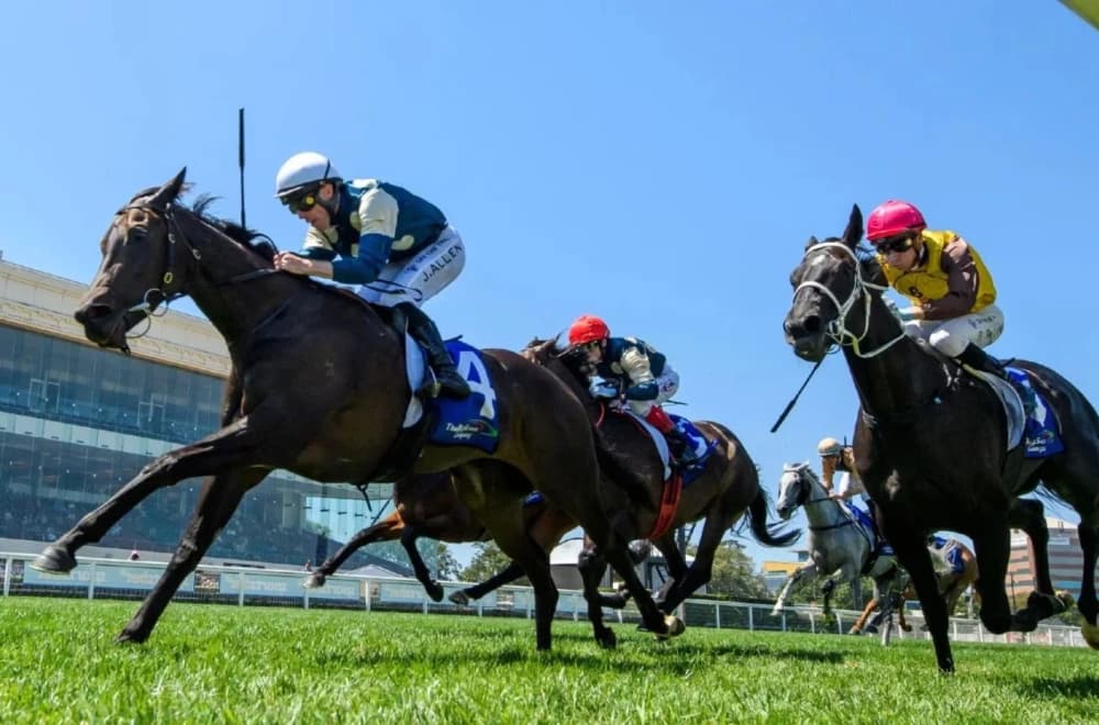 Absurde Set to Make His Mark in the Melbourne Cup 2024