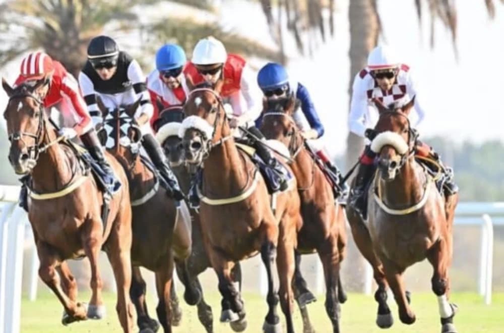 REHC Signs Sponsorship Deal with Alzayani Investments Group for 2024-25 Horseracing Season REHC Signs Sponsorship Deal with Alzayani Investments Group for 2024-25 Horseracing Season