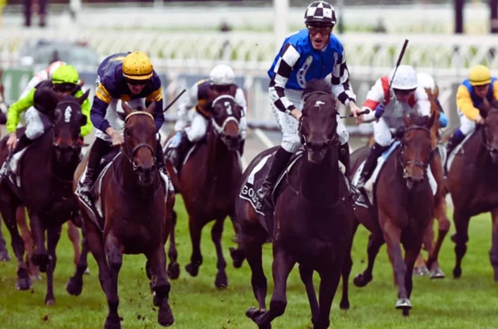 Melbourne Cup Faces Calls for End Amid Rising Concerns Over Animal Welfare Melbourne Cup Faces Calls for End Amid Rising Concerns Over Animal Welfare