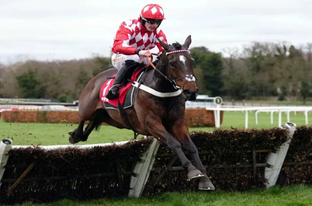 Jingko Blue Impresses on Chasing Debut with Victory at Uttoxeter