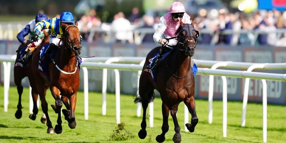 Sweet for consistent Gosden stayer in Doncaster Cup Sweet for consistent Gosden stayer in Doncaster Cup