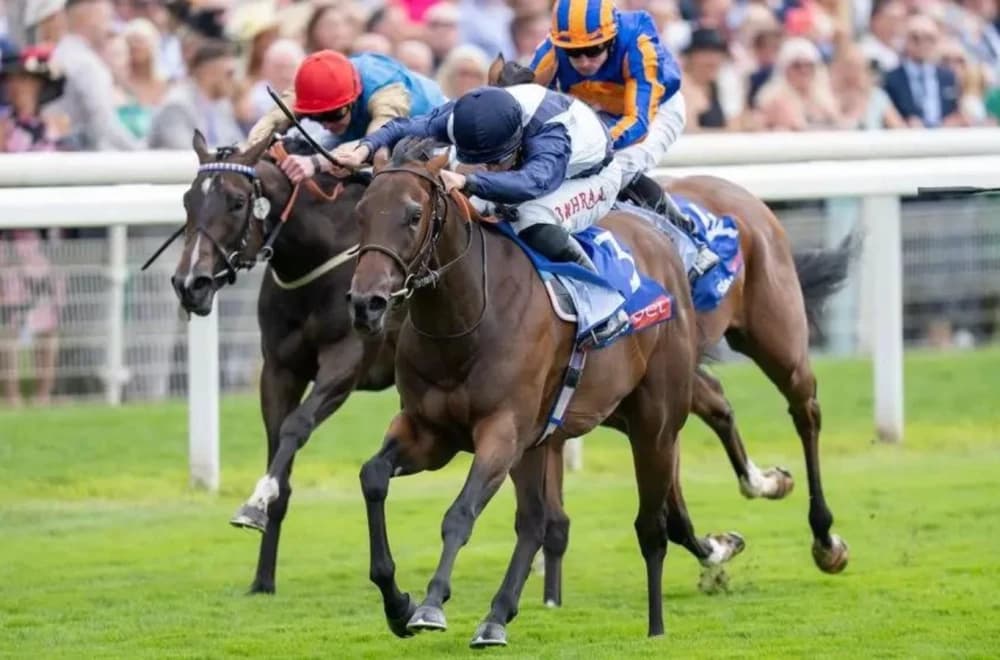 Celandine Triumphs in Sky Bet Lowther Stakes at York Celandine Triumphs in Sky Bet Lowther Stakes at York