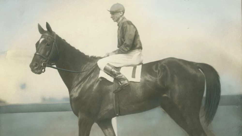 Exterminator: A Legendary Champion of Horse Racing Exterminator: A Legendary Champion of Horse Racing