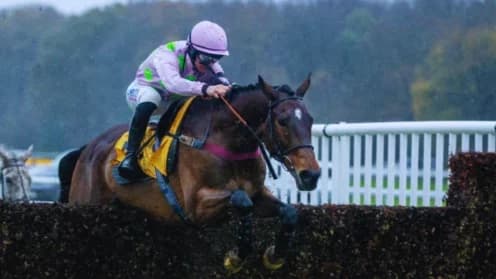 Royal Pagaille's Triumph Marks Ricci's 100th Win Royal Pagaille's Triumph Marks Ricci's 100th Win