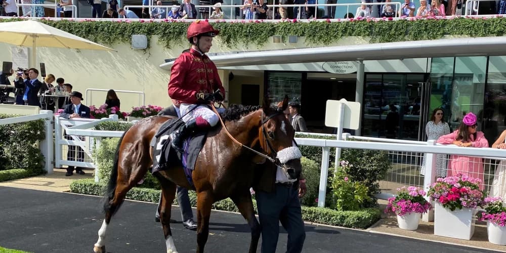 Del Mar mission calling for New Century Del Mar mission calling for New Century