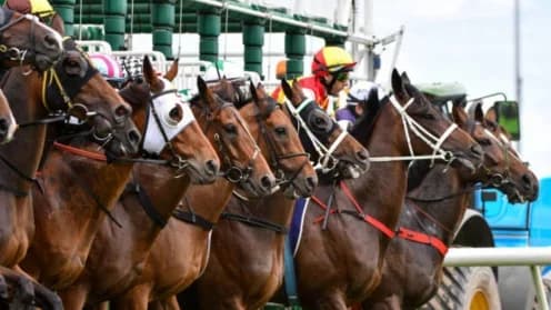 The Boss Lady Poised for Jungle Mist Classic Victory The Boss Lady Poised for Jungle Mist Classic Victory