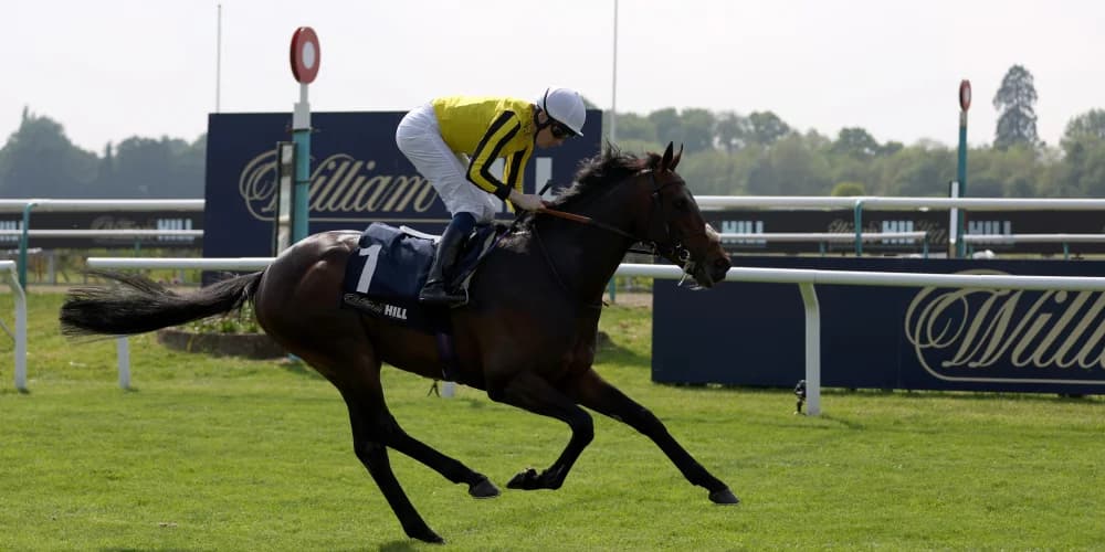 Ambiente Friendly camp opt for Irish Derby bid Ambiente Friendly camp opt for Irish Derby bid