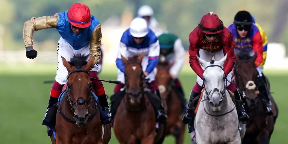 Prix du Cadran high up on Gregory pecking order Prix du Cadran high up on Gregory pecking order