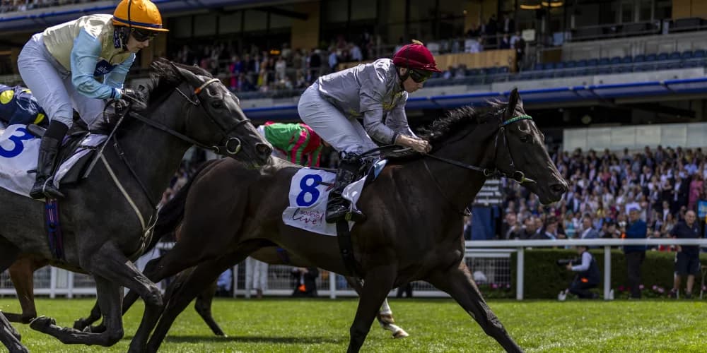 Immediate plans still to be decided for Simmering Immediate plans still to be decided for Simmering