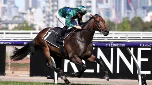 Maher’s Quartet Ready for Another Zipping Classic Challenge Maher’s Quartet Ready for Another Zipping Classic Challenge