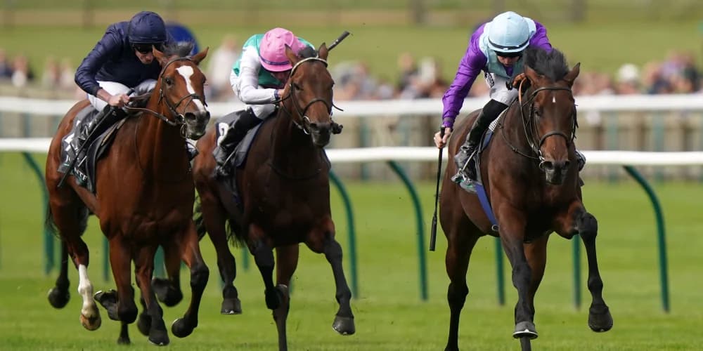 Ghostwriter out to end O’Brien’s Irish Champion monopoly Ghostwriter out to end O’Brien’s Irish Champion monopoly