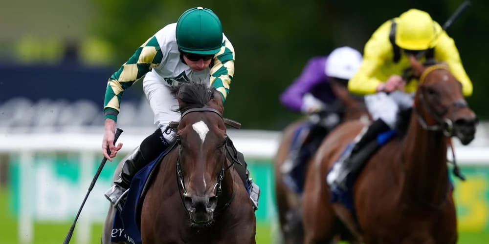 Porta Fortuna Eyes Matron Stakes Glory Ahead of Possible Breeders' Cup Tilt Porta Fortuna Eyes Matron Stakes Glory Ahead of Possible Breeders' Cup Tilt