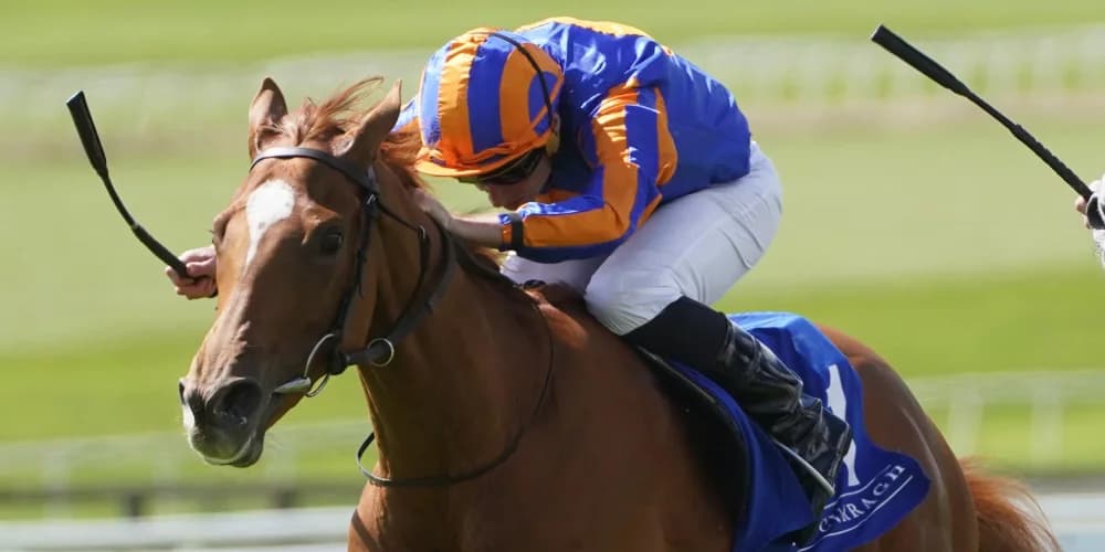 Ballet Slippers gracefully navigates her way to triumph at Ascot Ballet Slippers gracefully navigates her way to triumph at Ascot