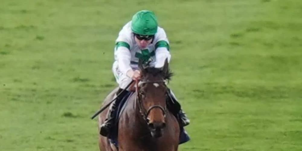 From Classics to Sandown: Tamfana’s Shift in Strategy for Group Three Glory