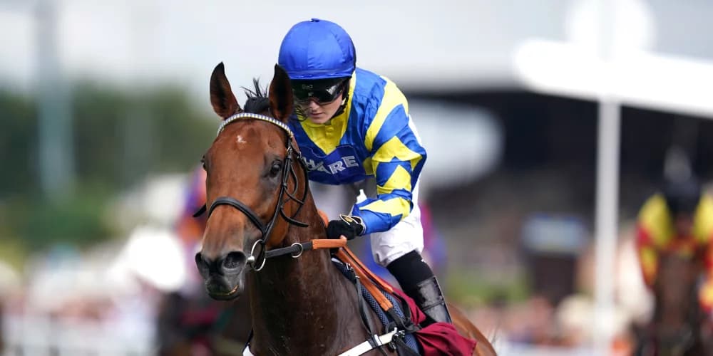 Cadran calling for Trueshan after solid Doncaster effort Cadran calling for Trueshan after solid Doncaster effort