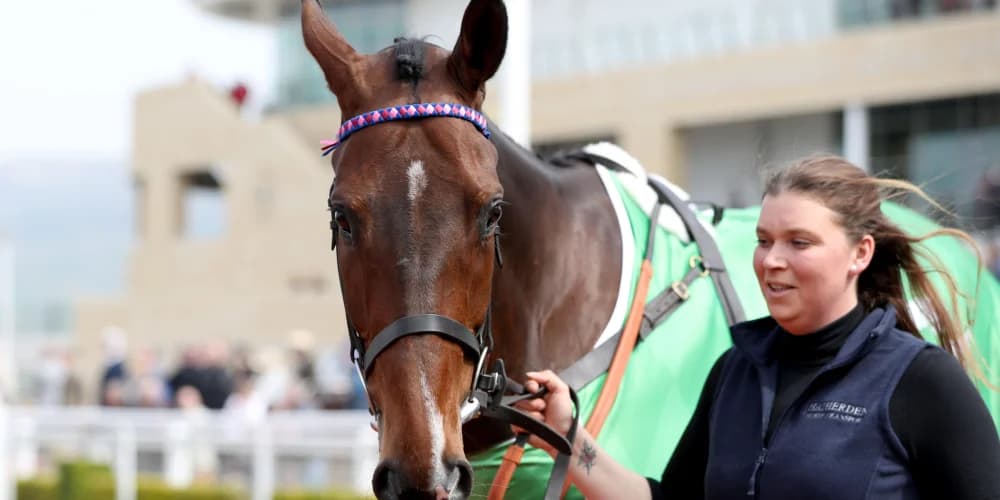 ‘He thinks life is fantastic’ – Paisley Park loving his retirement