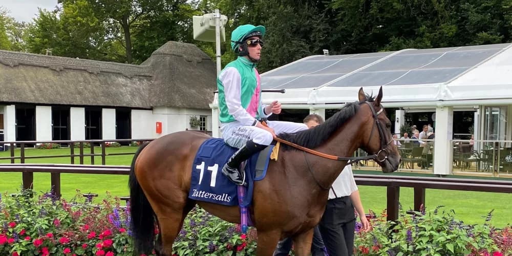 Storming the Group Three Ranks: Tabiti Poised for a Major Challenge at Salisbury