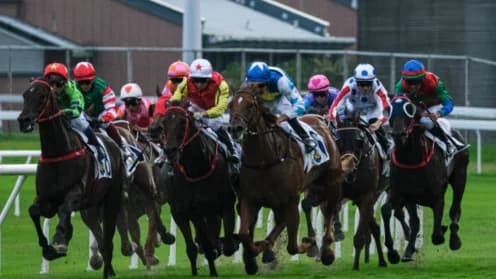 Sha Tin Racecourse Aims to Attract Younger Racegoers