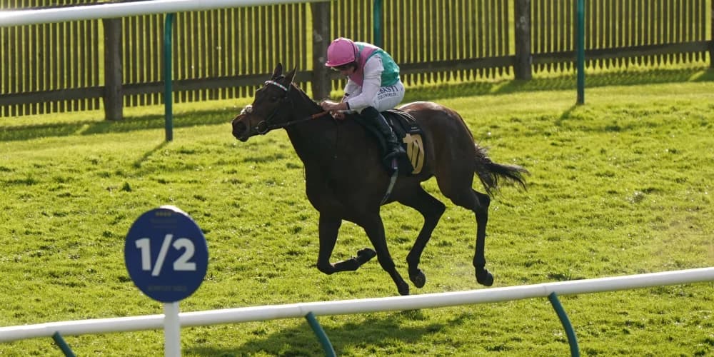 Outstanding Kalpana cut for the Champions Day task Outstanding Kalpana cut for the Champions Day task